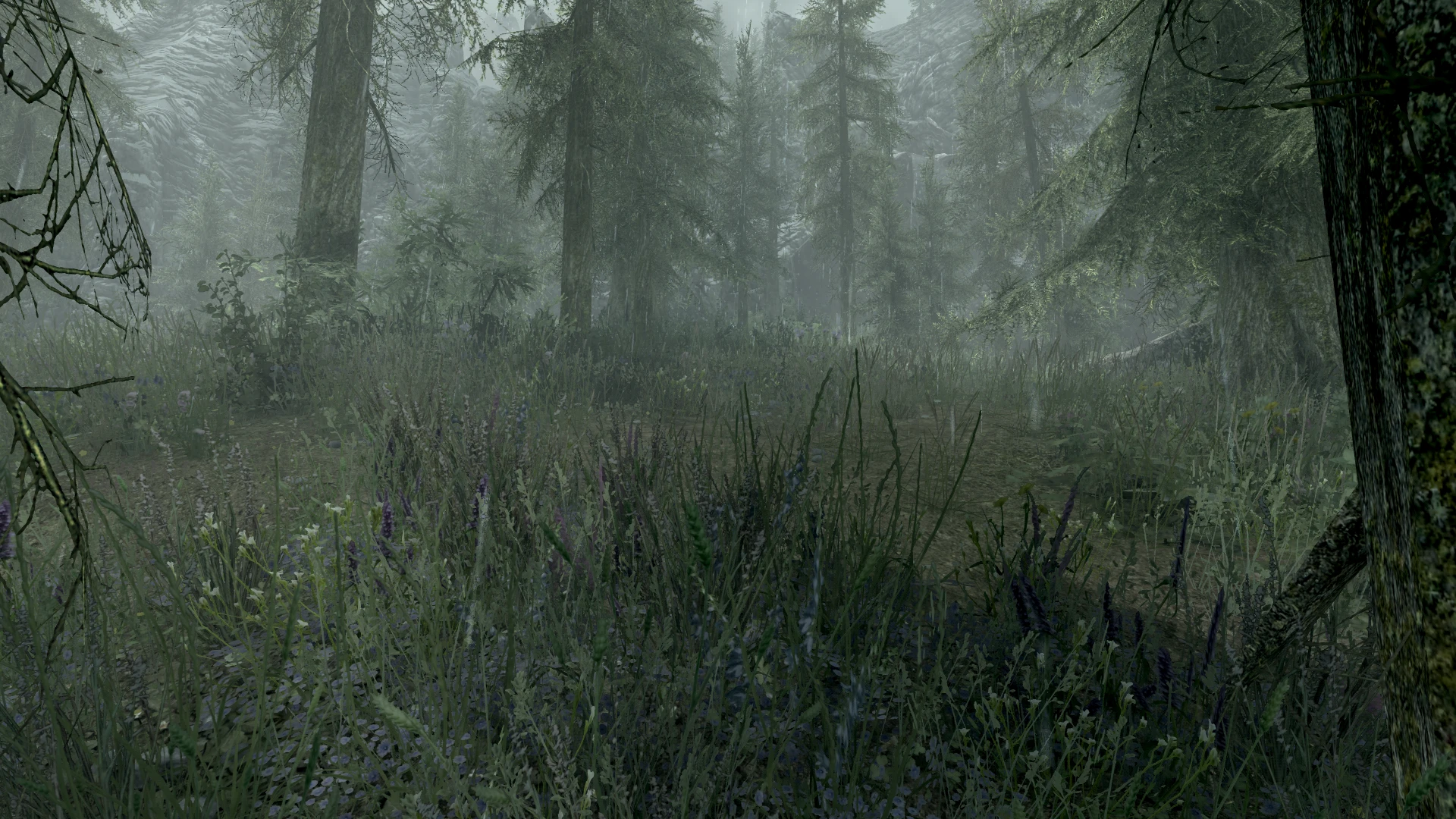 Dolomite Pine Forest Rain At Skyrim Special Edition Nexus Mods And