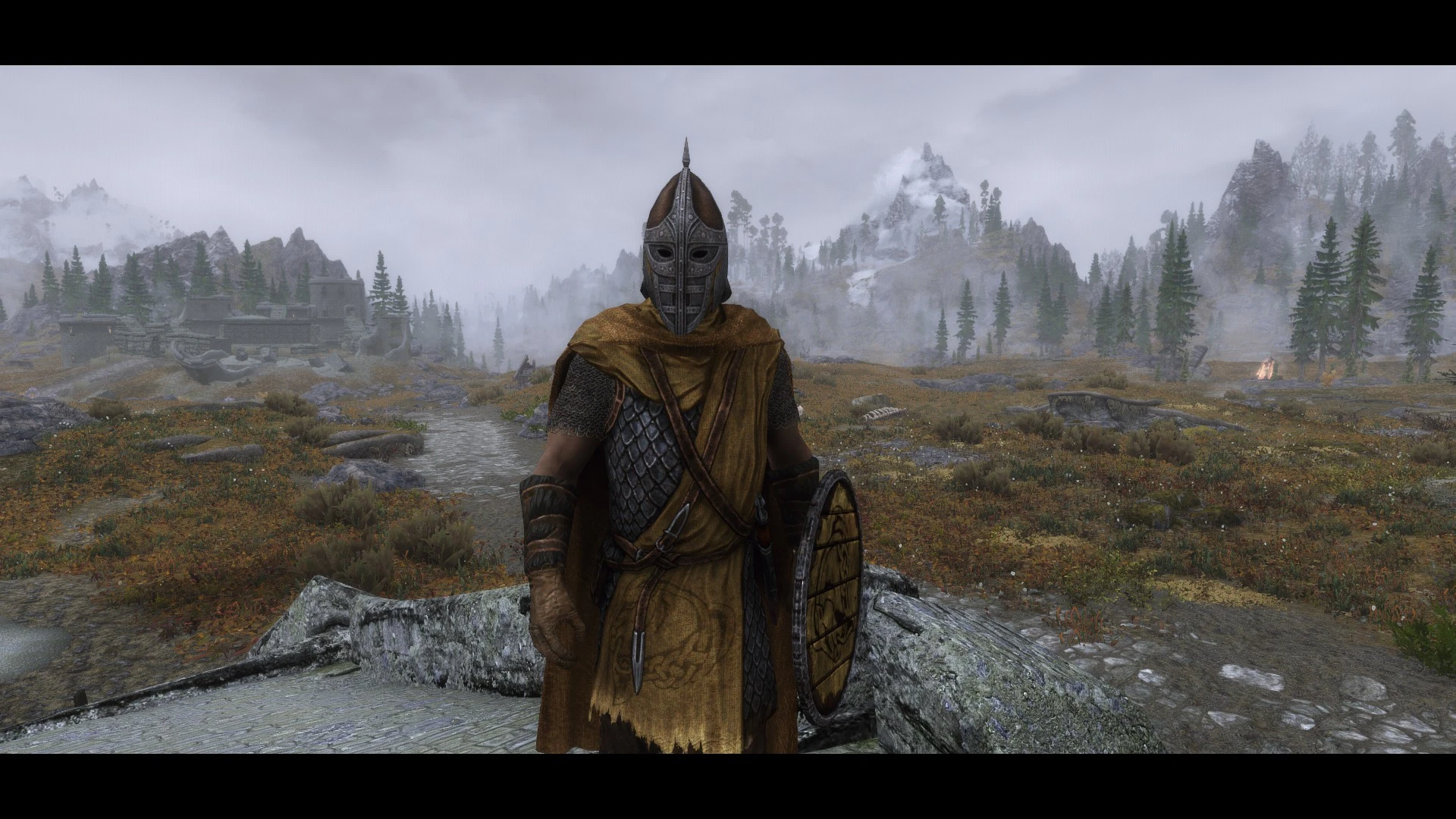 The Guard At Skyrim Special Edition Nexus Mods And Community   5814270 1498217466 