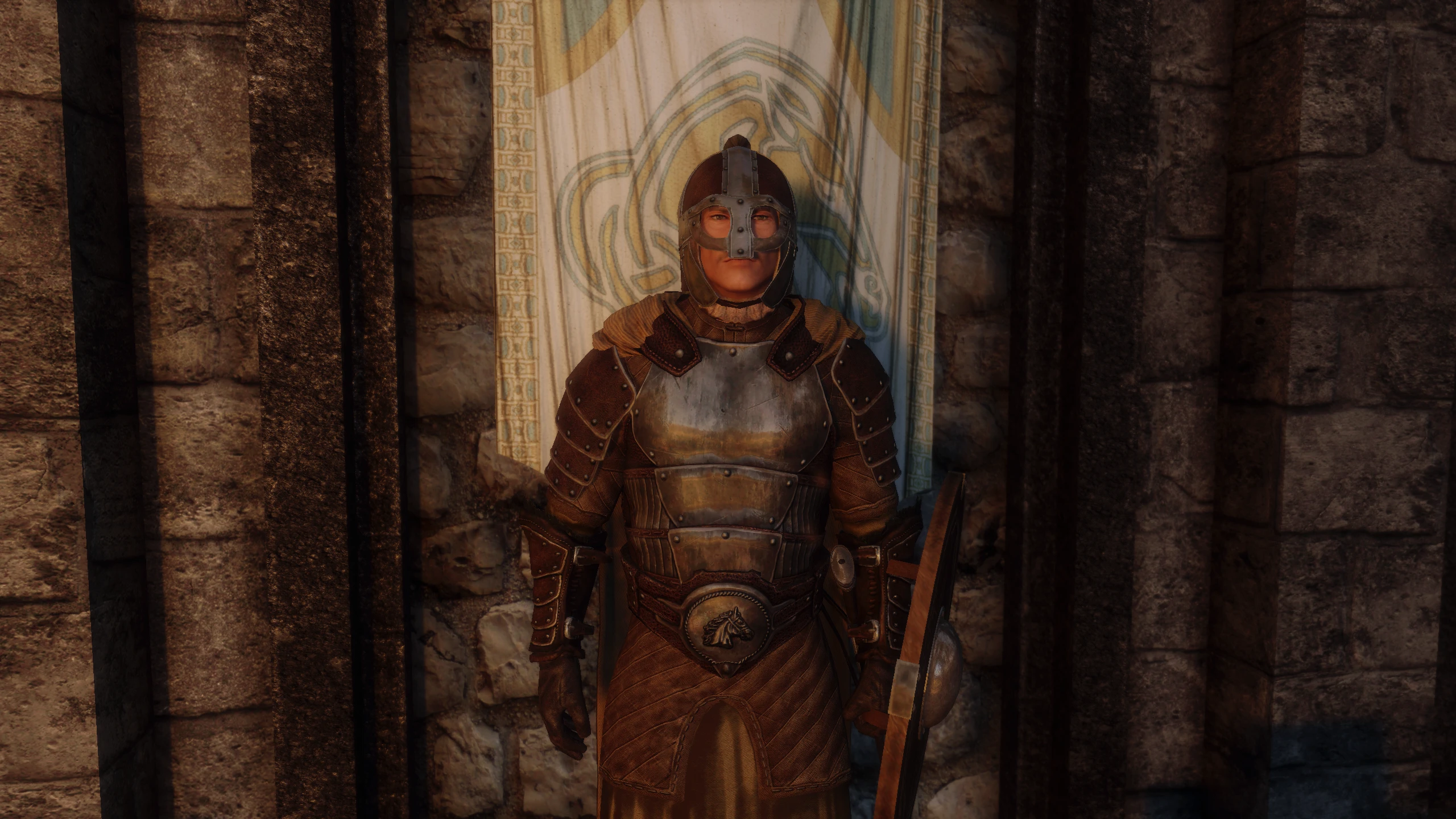 Whiterun Guard at Skyrim Special Edition Nexus - Mods and Community