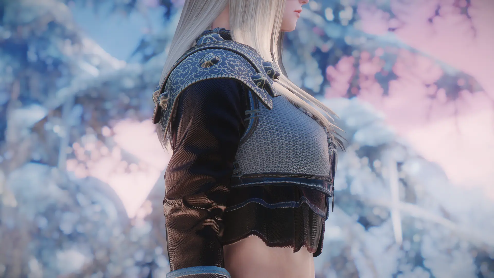 skyrim special edition enb videomemorysizemb skyrim special edition enb videomemorysizemb
