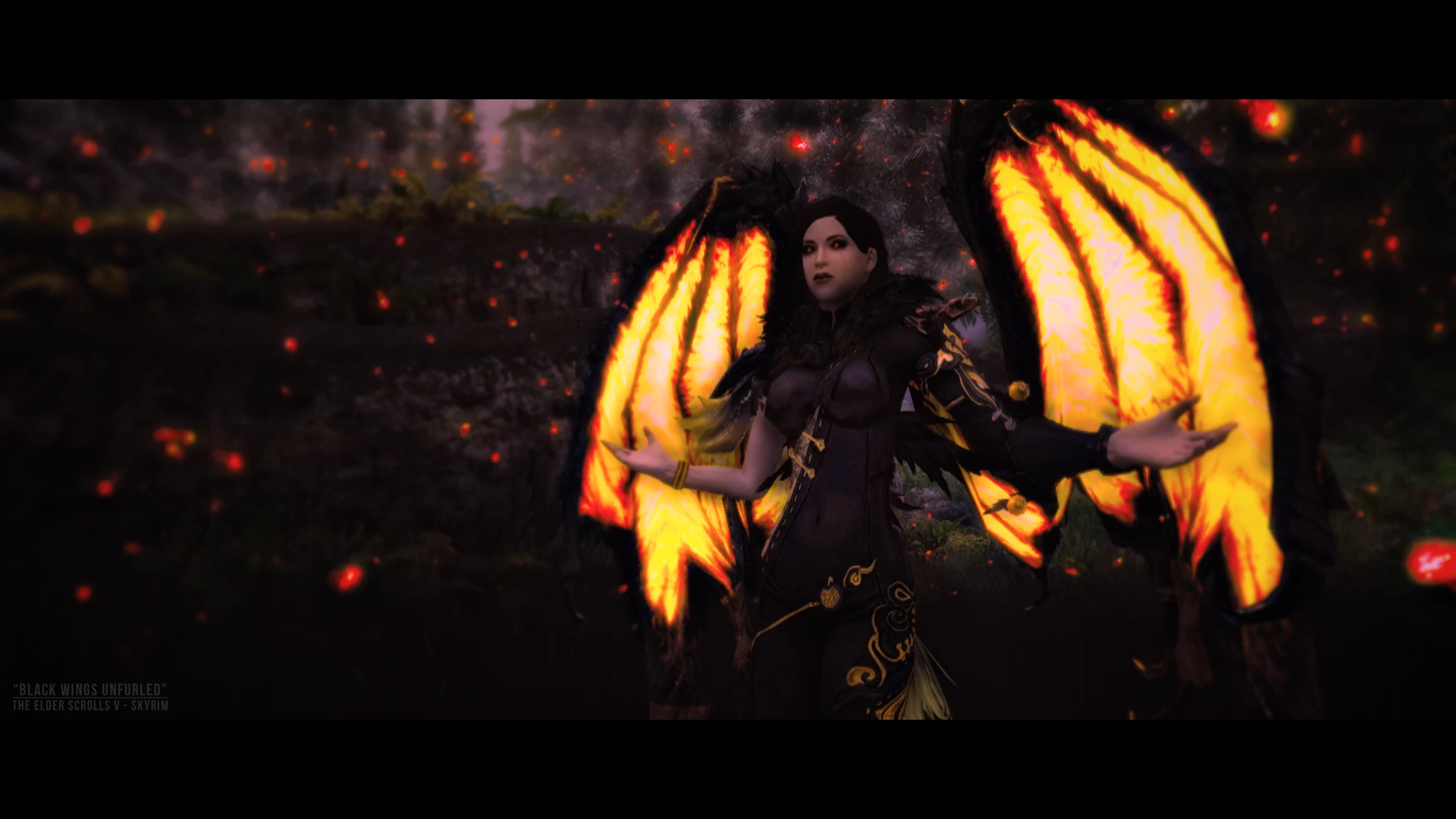 Black Wings Unfurled Black Wings Unfurled