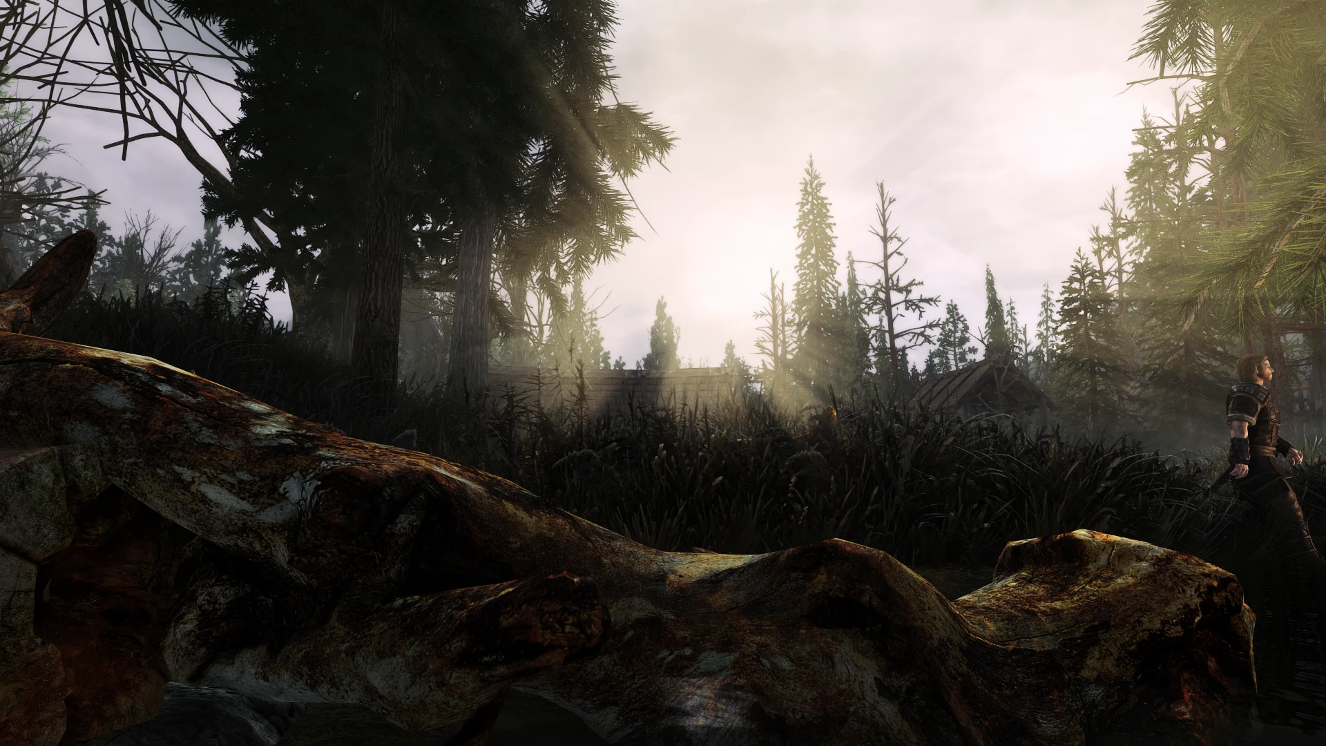 Swampy Morthal Semirealis at Dawn pics at Skyrim Special Edition Nexus ...