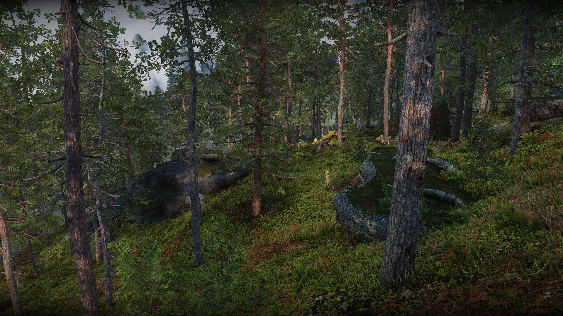 Trees At Skyrim Special Edition Nexus - Mods And Community