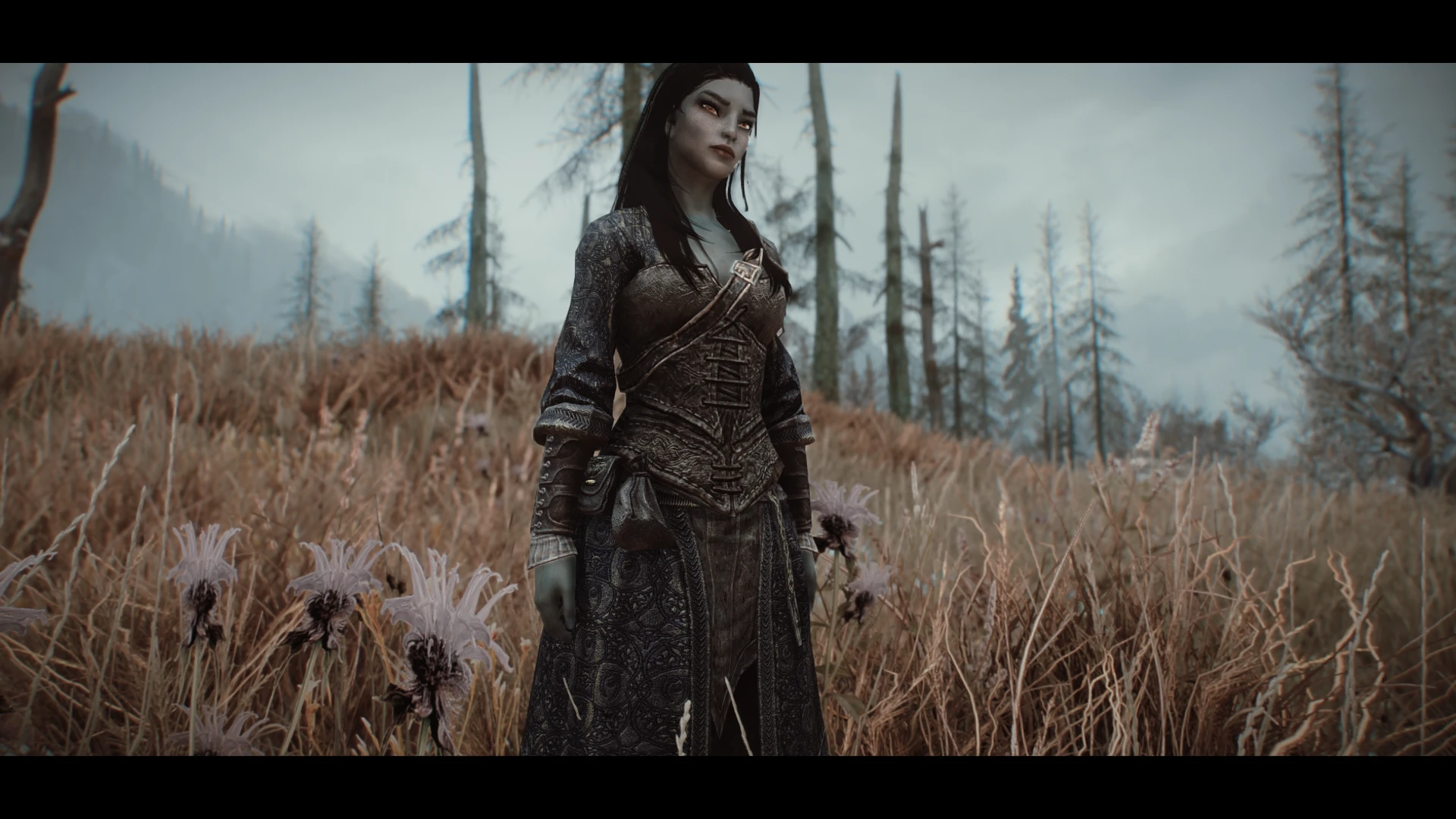 Dark Elf At Skyrim Special Edition Nexus Mods And Community   6473115 1536650728 