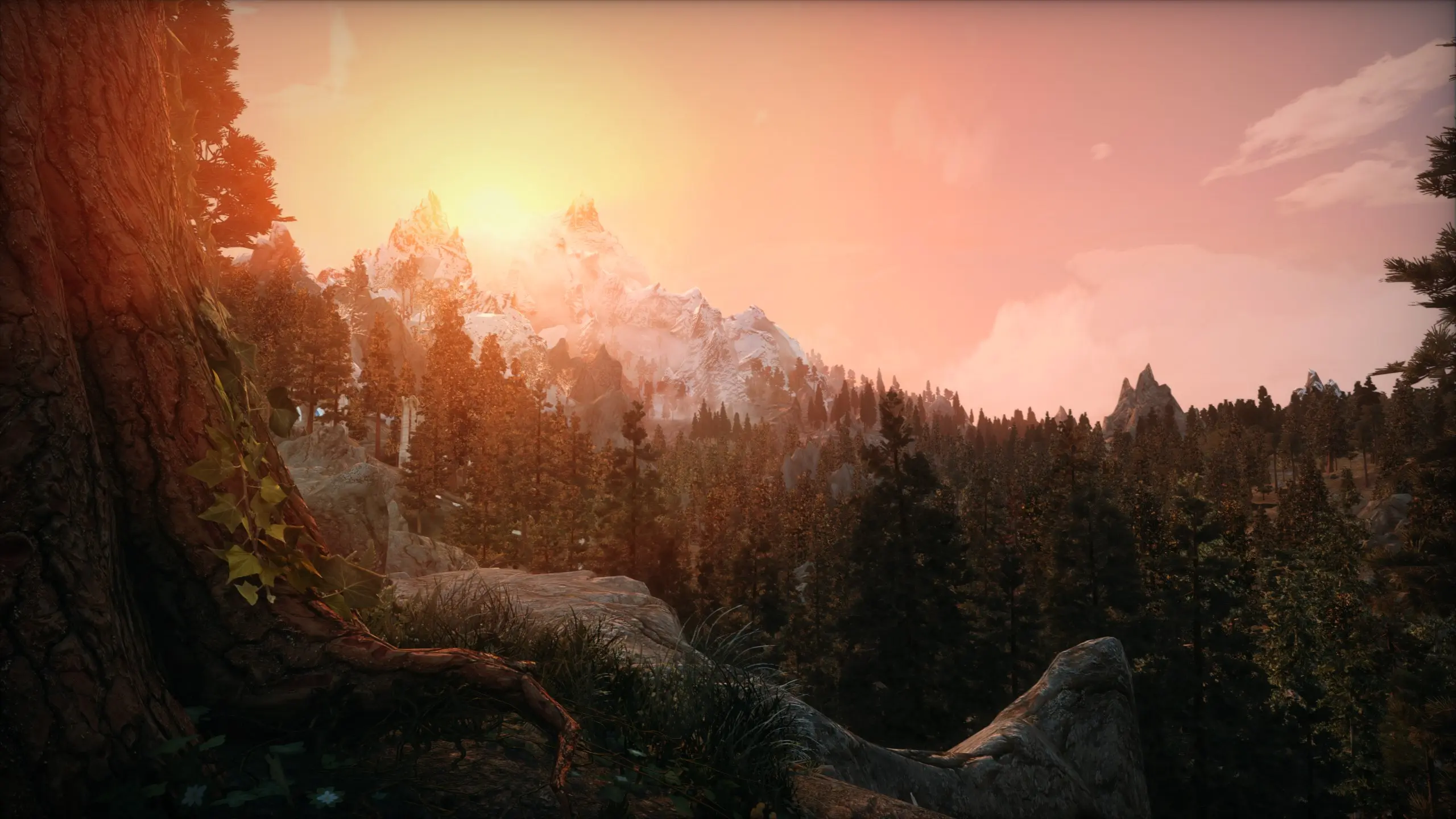 Sunrise at Skyrim Special Edition Nexus - Mods and Community