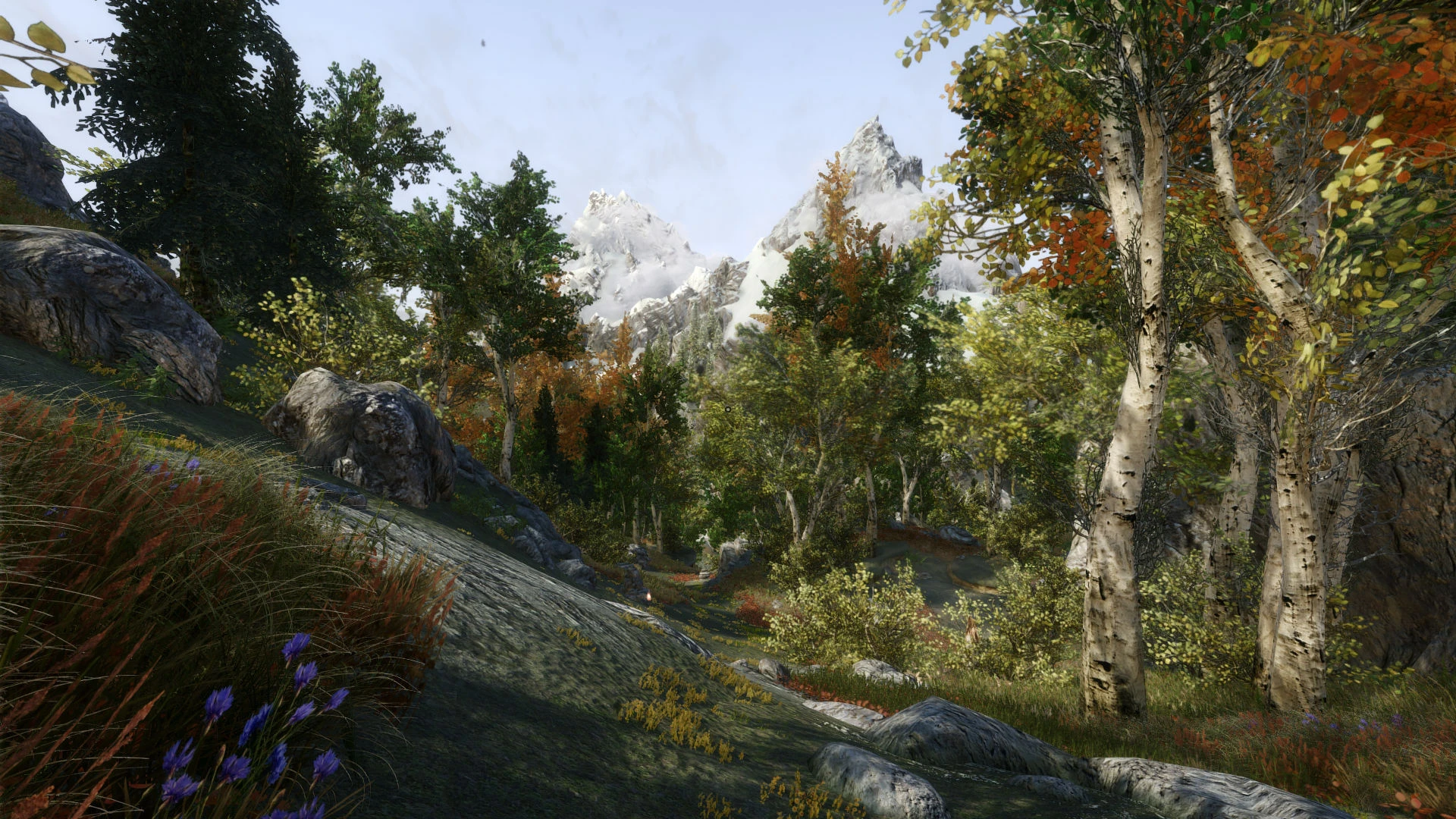 A view from Riften forest  at Skyrim Special Edition Nexus  