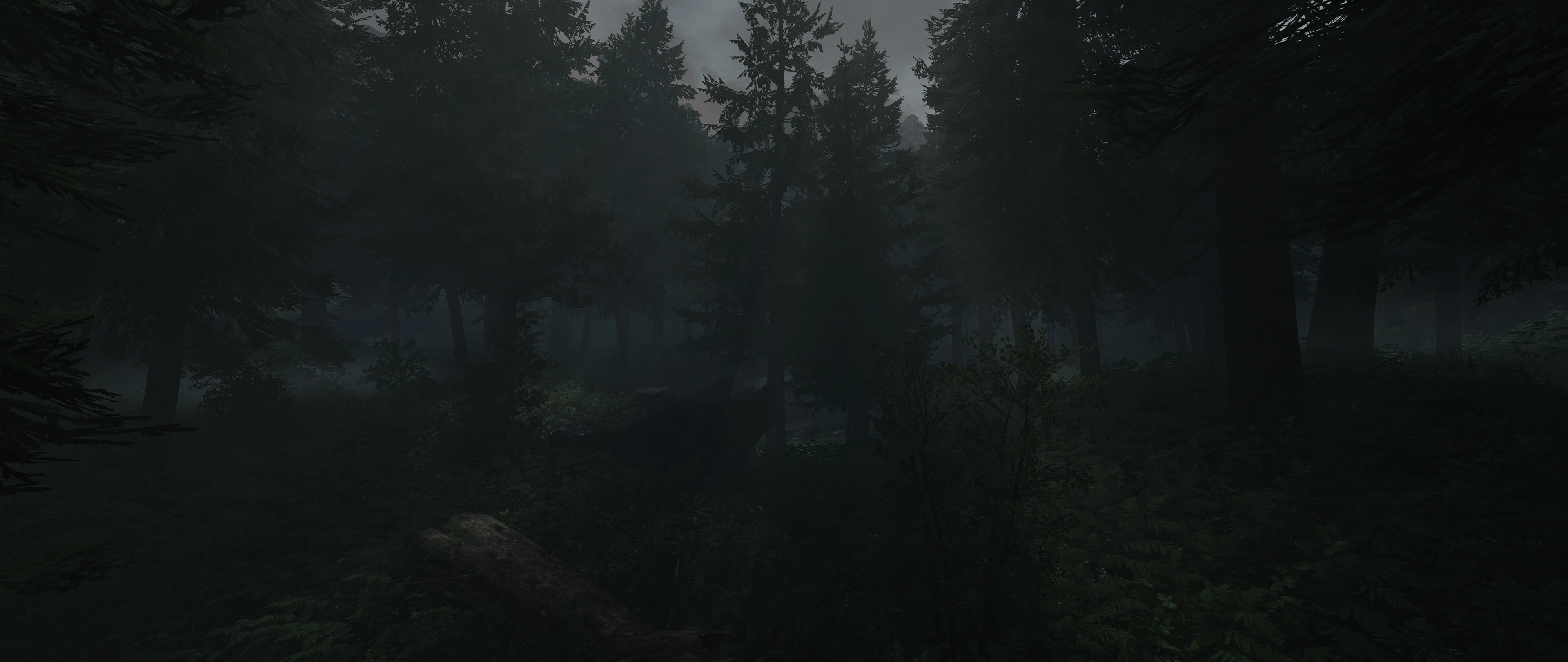 Foggy forest at Skyrim Special Edition Nexus - Mods and Community