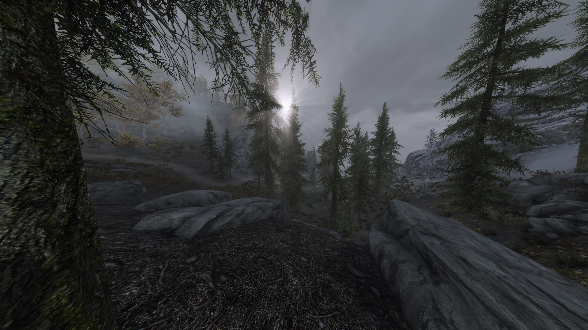 The Rift Wilderness at Skyrim Special Edition Nexus - Mods and Community