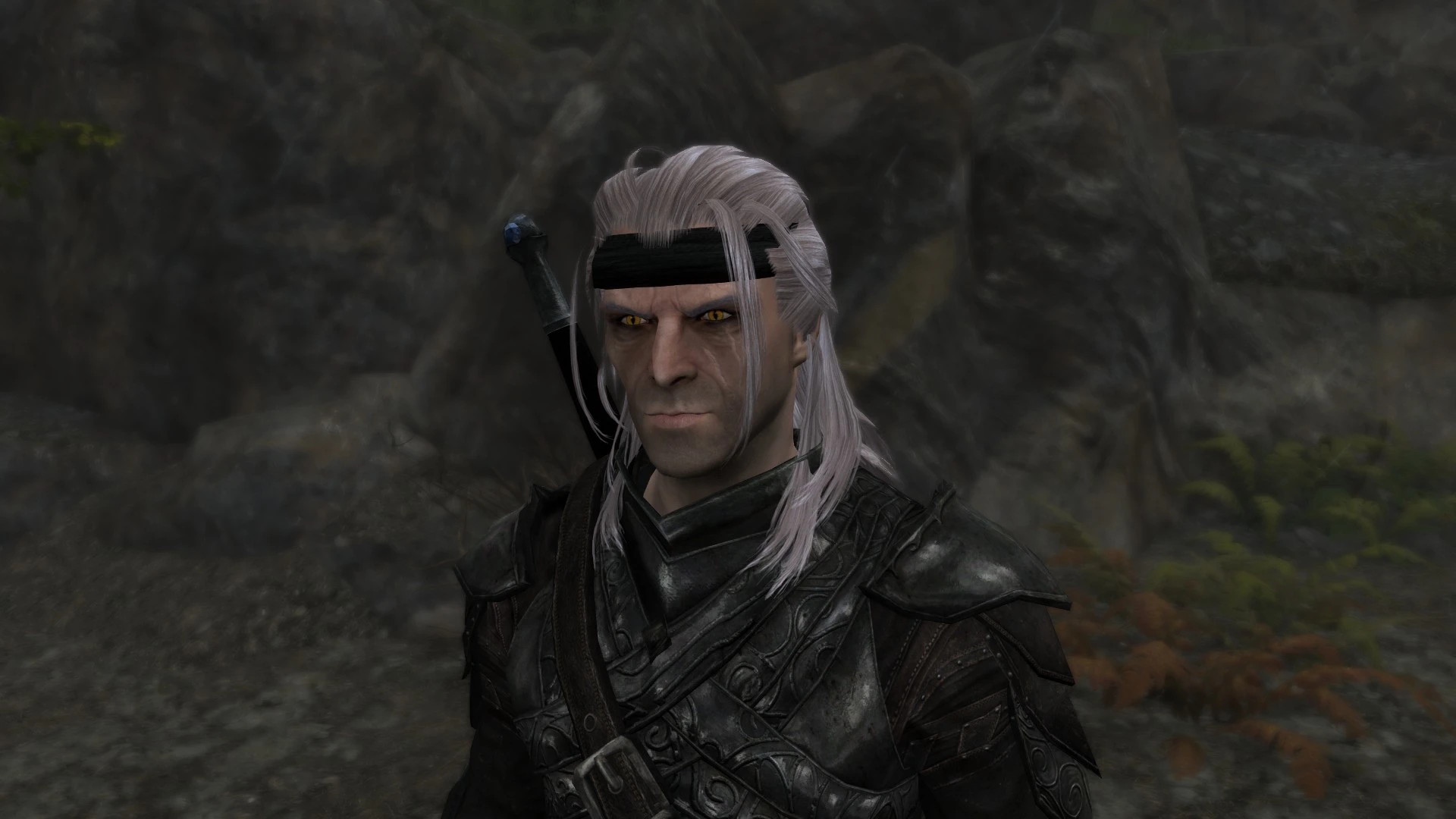 Geralt At Skyrim Special Edition Nexus Mods And Community