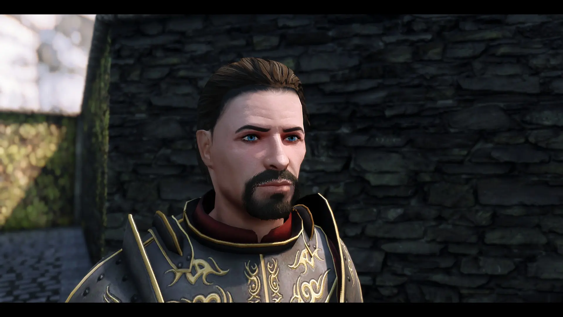 Hjalti Early-Beard at Skyrim Special Edition Nexus - Mods and Community