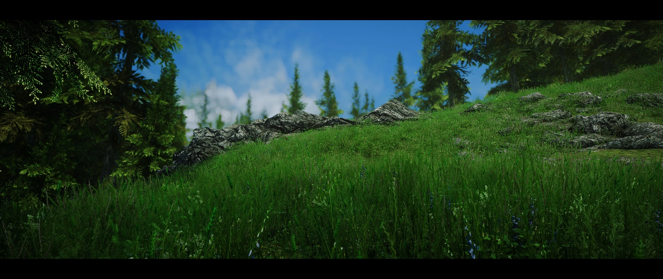 Netscriptframework skyrimse. (2) Reshade and ENB. Nat weathers. Undertale how to install Reshade.