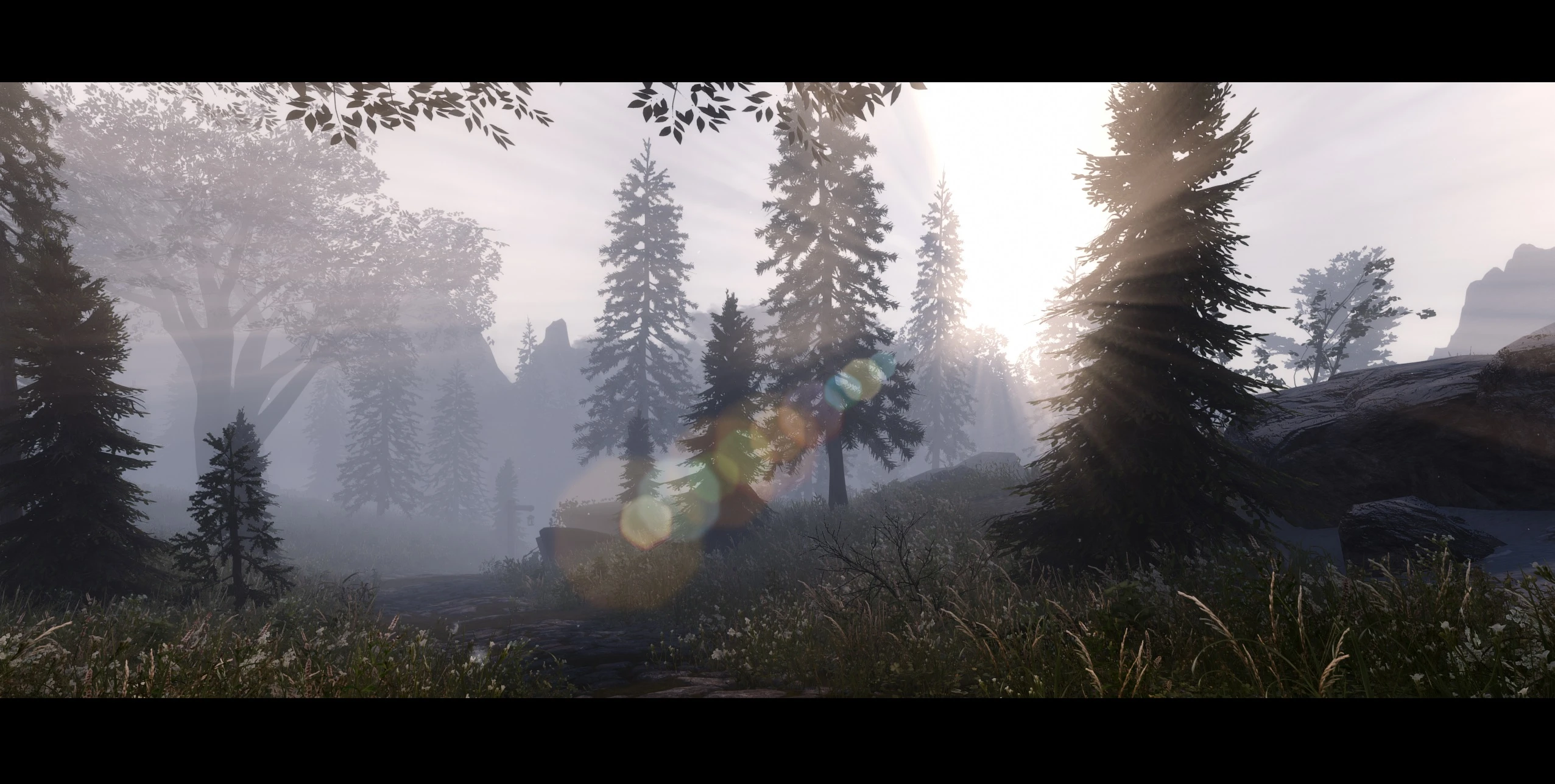 Boost ENB Skyrim.