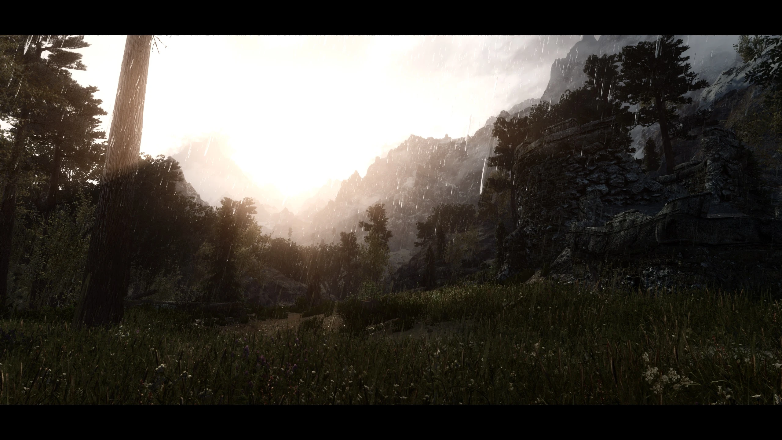 Nat enb 3. Natural view Tamriel (NVT) ENB. ENB 2.0.4 by Nexus. Nat weathers.