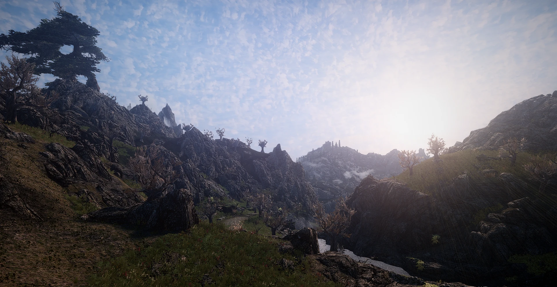 reach at Skyrim Special Edition Nexus - Mods and Community