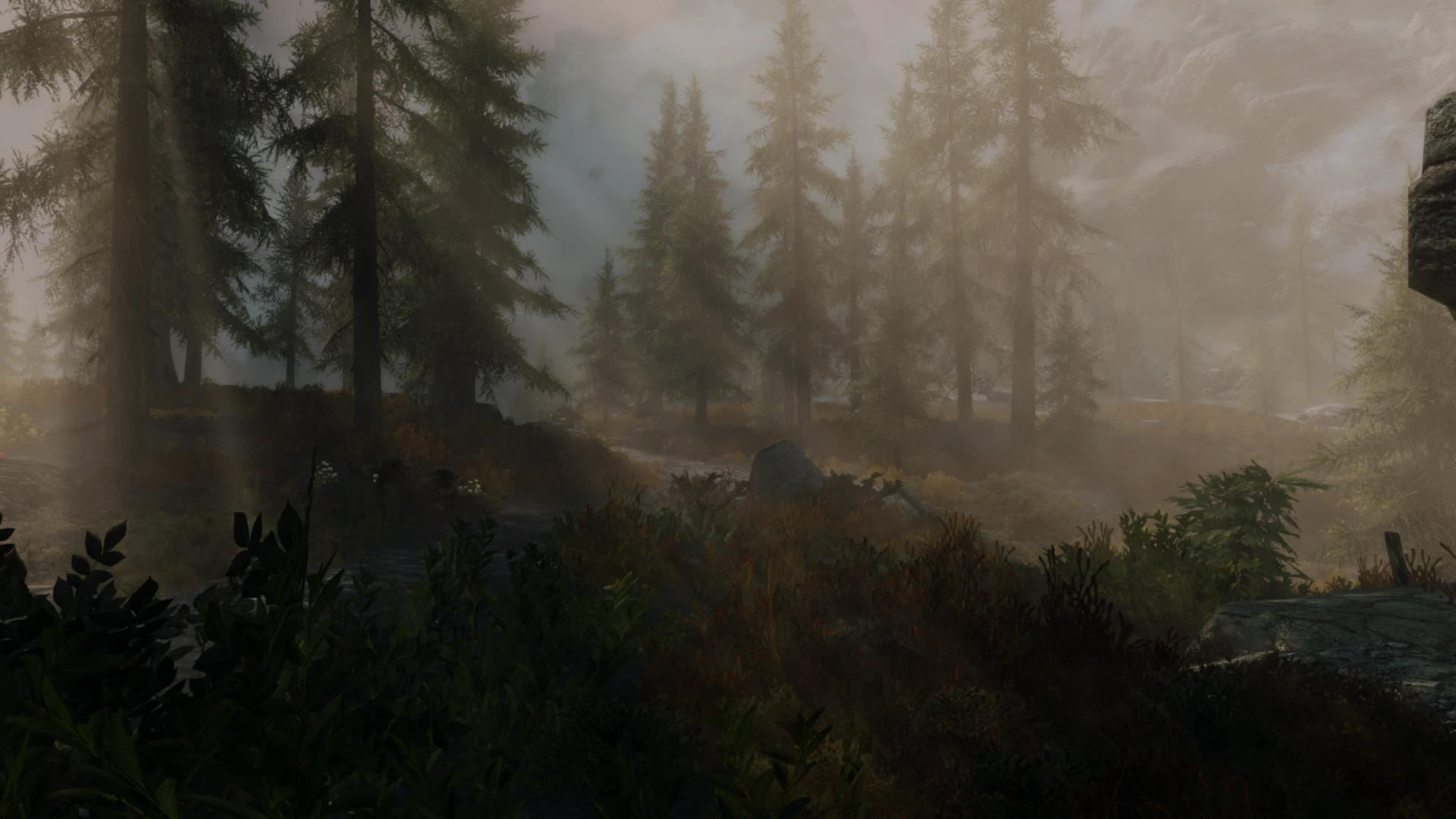 The Alpine Forest of Whiterun at Skyrim Special Edition Nexus - Mods ...