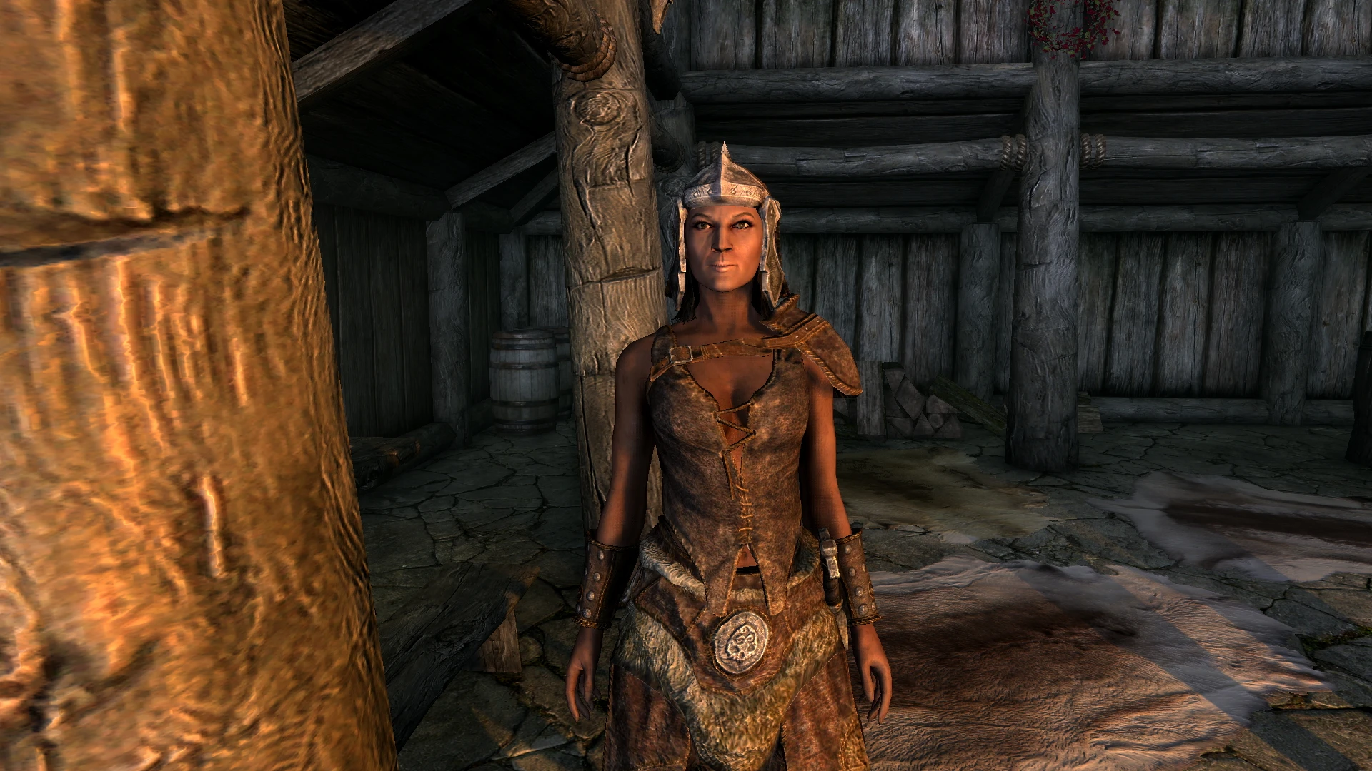 My Companion At Skyrim Special Edition Nexus Mods And Community