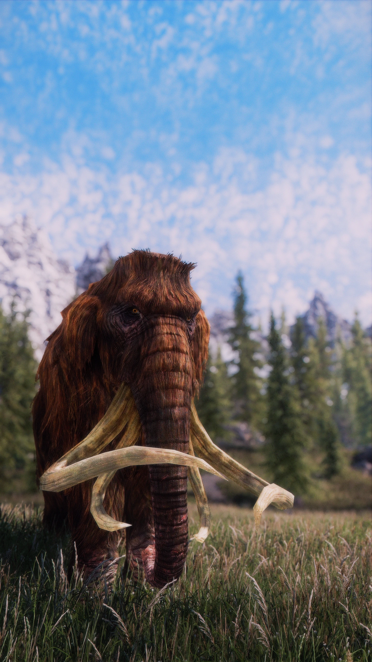 how big is skyrim special edition how big is skyrim special edition
