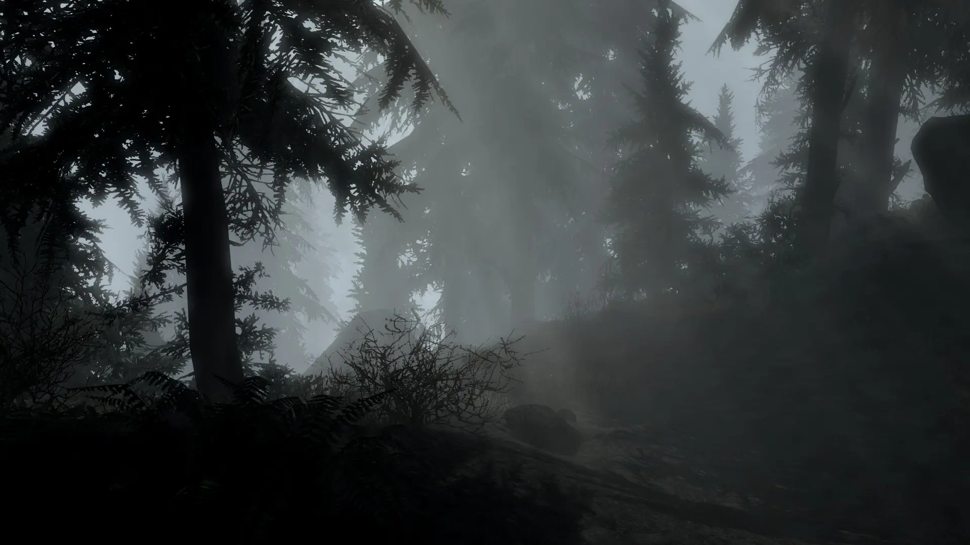 Foreverdark Woods at Skyrim Special Edition Nexus - Mods and Community