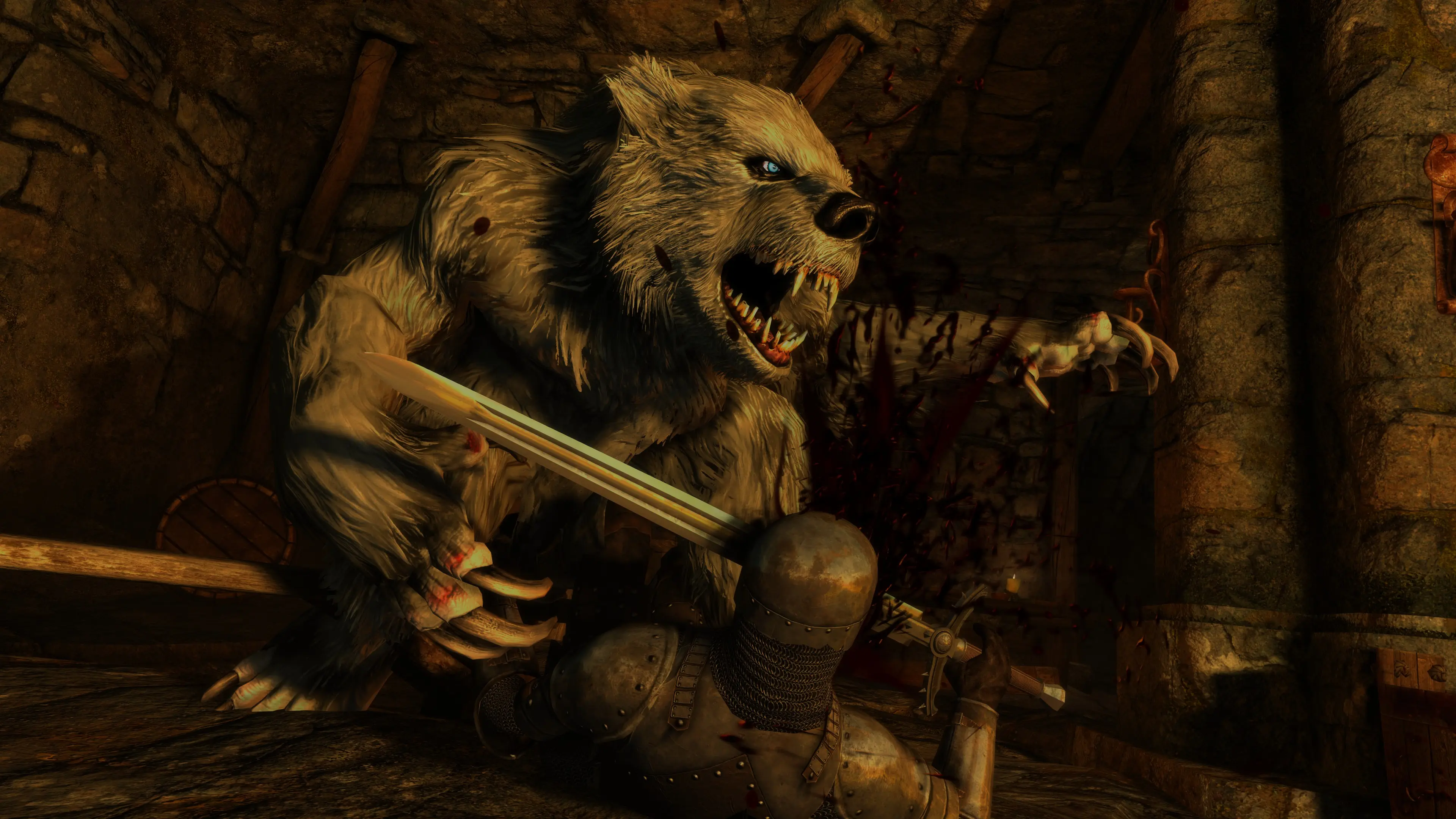 Skaaf Bear-Kin at Skyrim Special Edition Nexus - Mods and Community