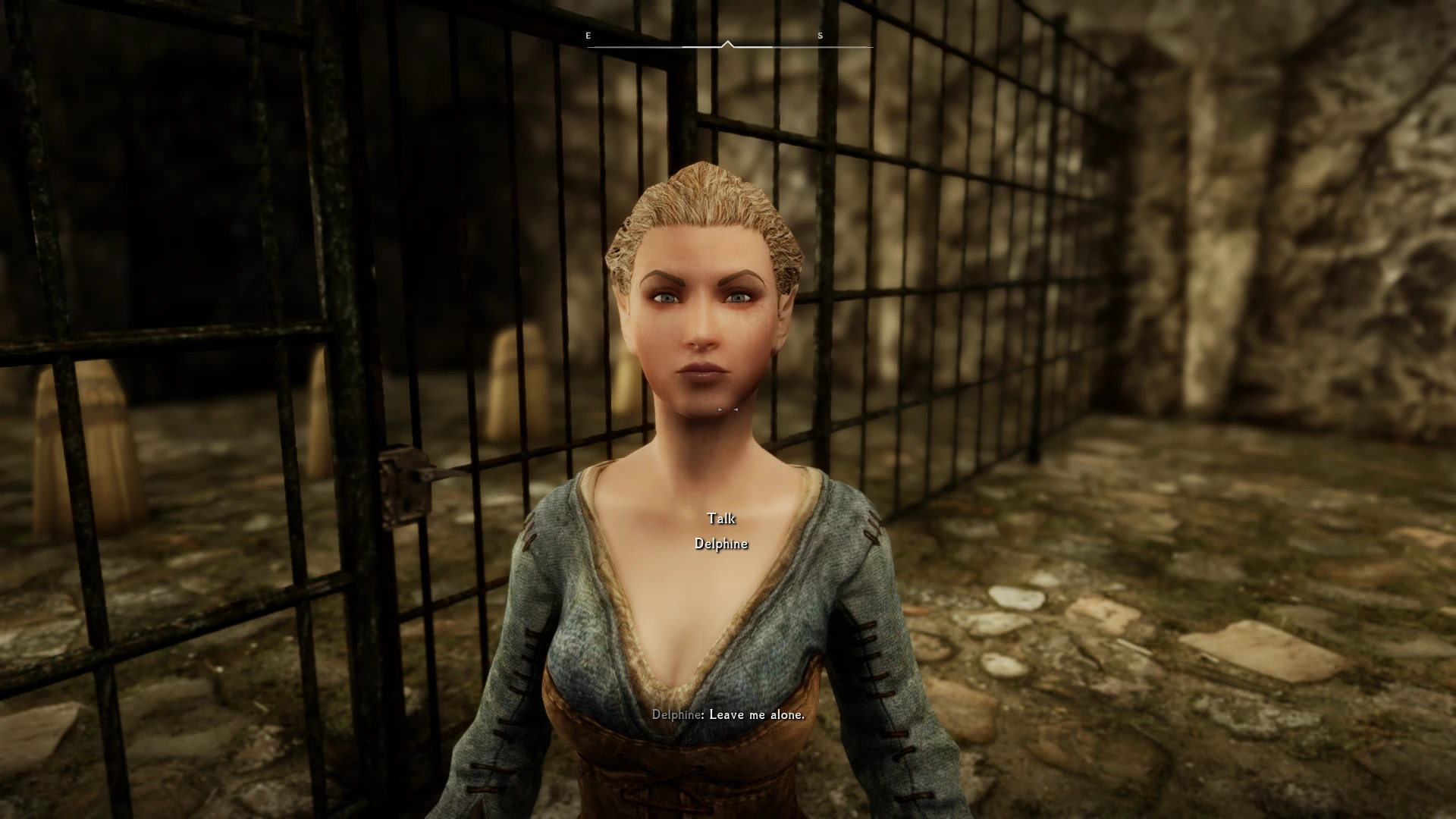 Kireinaized Delphine With Elven Ears At Skyrim Special Edition Nexus   76628973 1682542565 