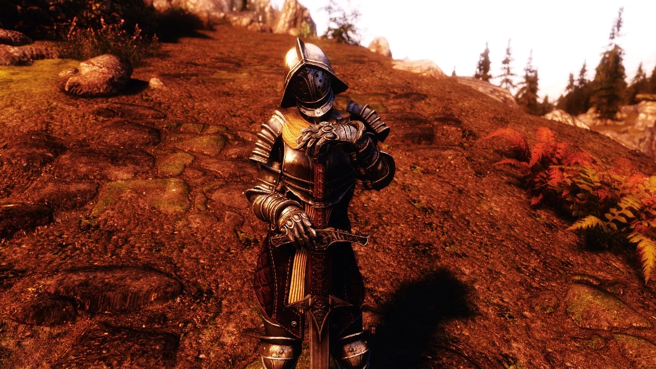 Knight at Skyrim Special Edition Nexus - Mods and Community