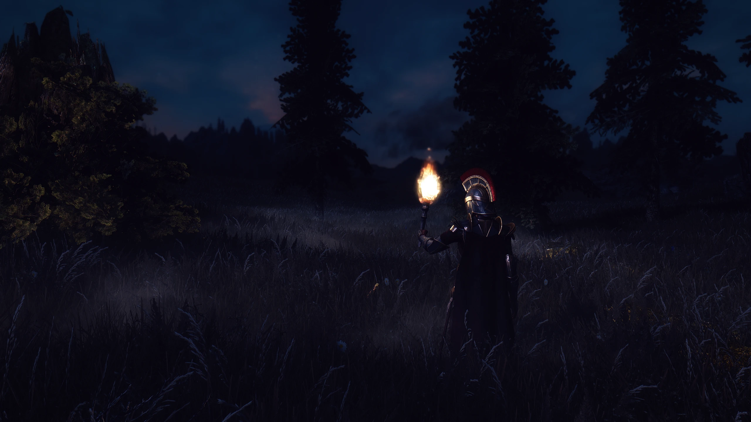 Nightly Patrol at Skyrim Special Edition Nexus - Mods and Community