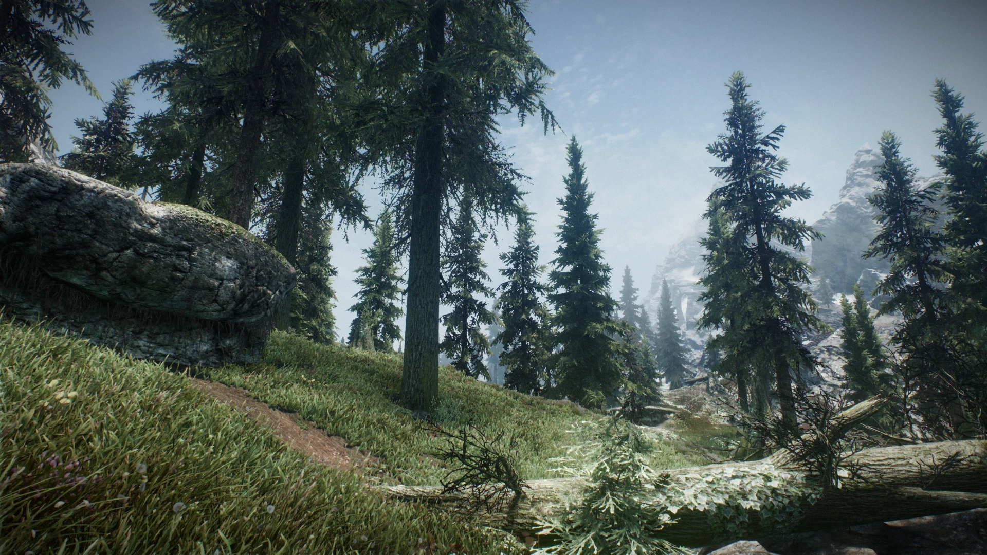 Green Fields at Skyrim Special Edition Nexus - Mods and Community