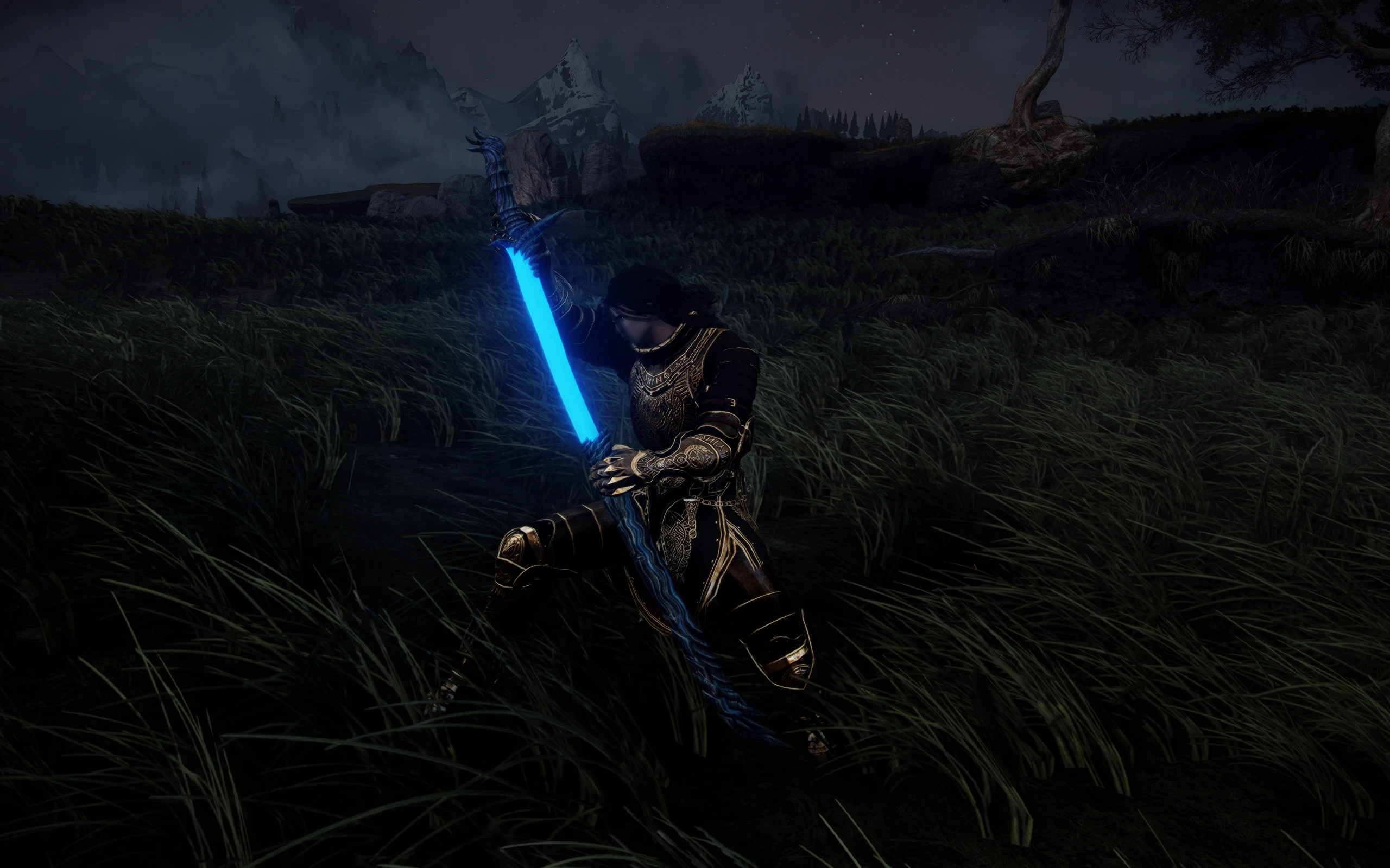 Devilsword Vergil at Skyrim Special Edition Nexus - Mods and Community