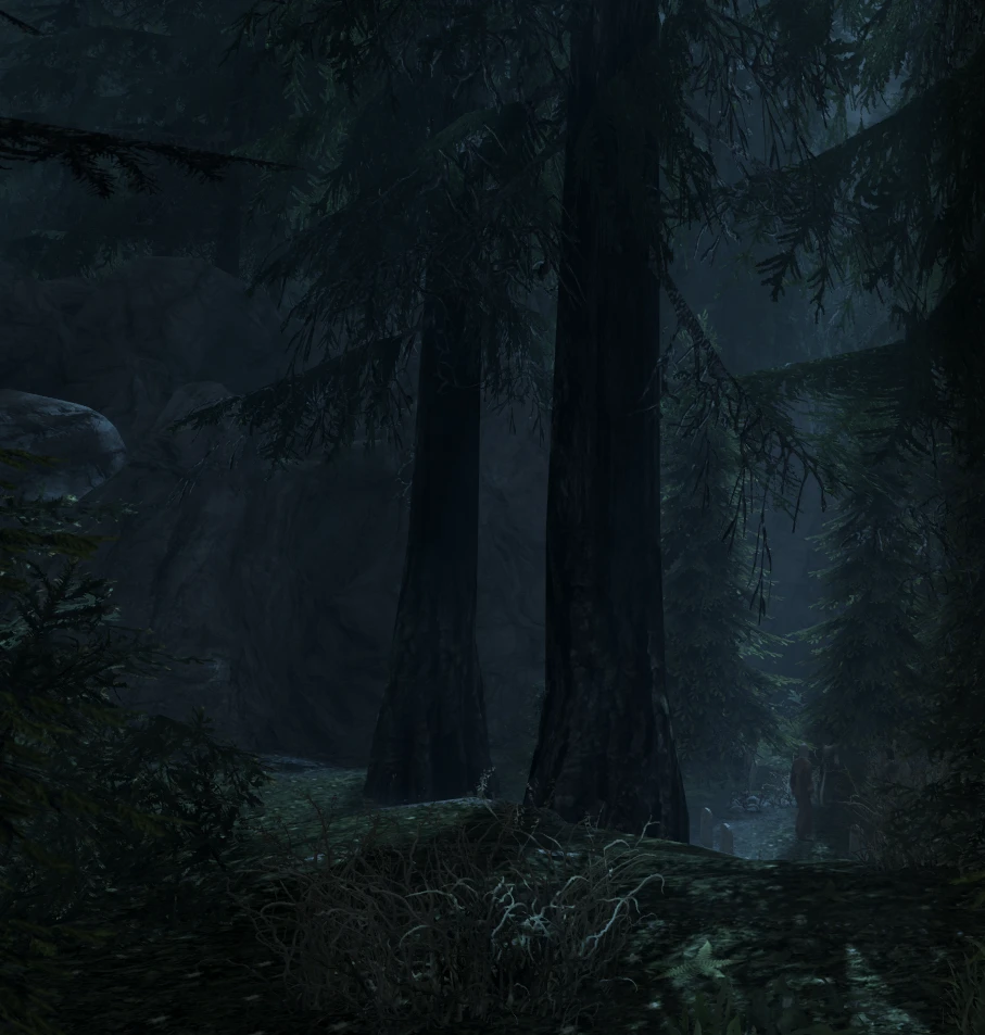 Deep Woods by Moonlight -Modded Skyrim SE- at Skyrim Special Edition ...