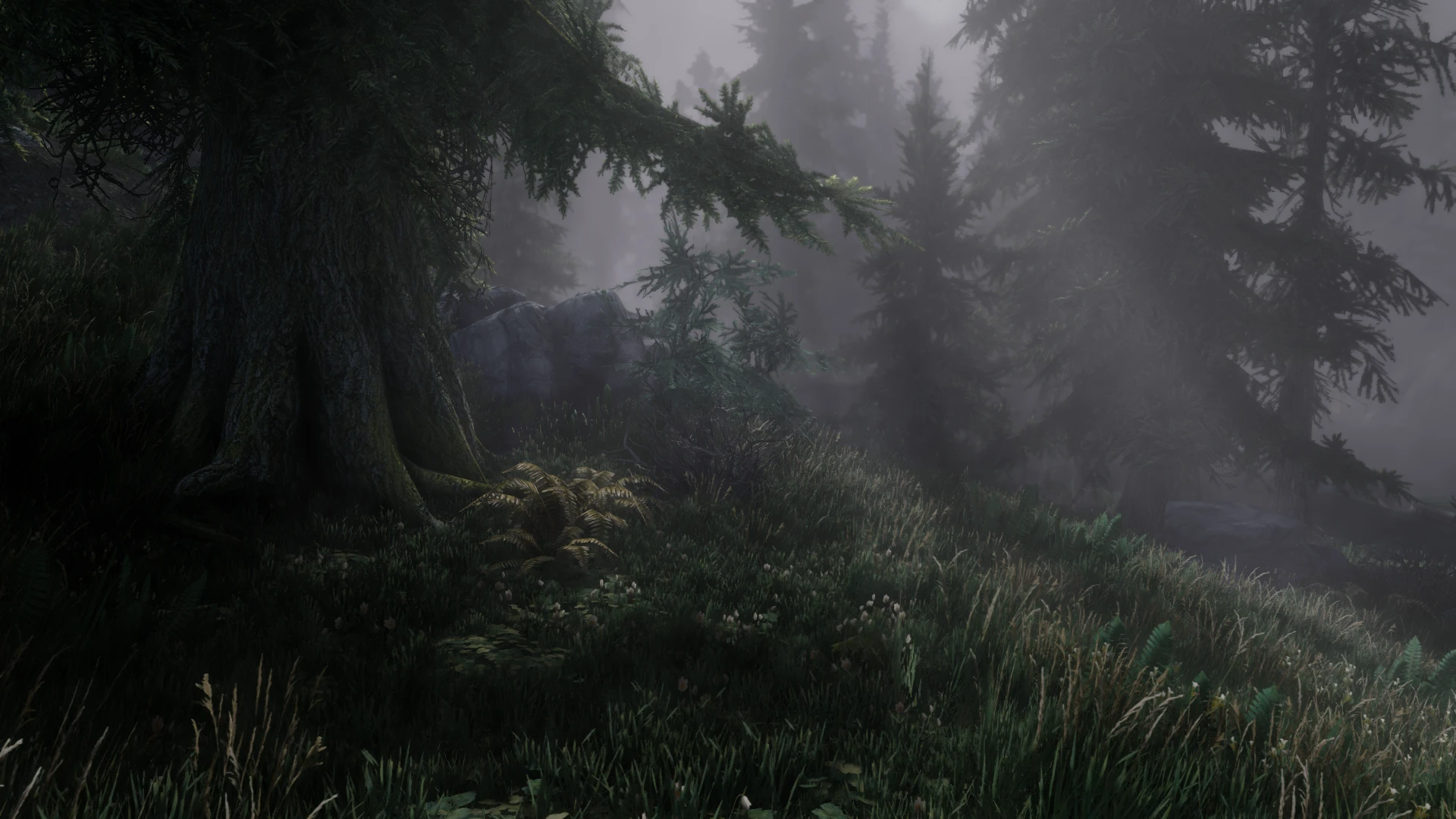 Misty Day at Skyrim Special Edition Nexus - Mods and Community