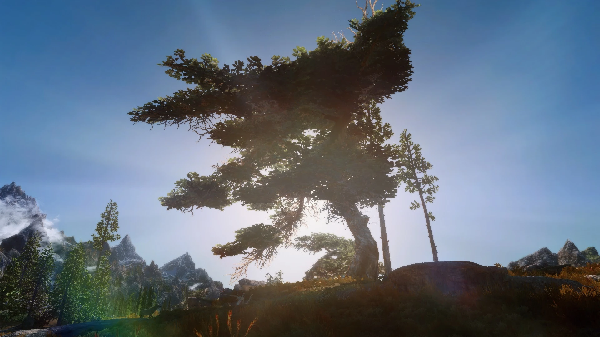 Bent Pine at Skyrim Special Edition Nexus - Mods and Community