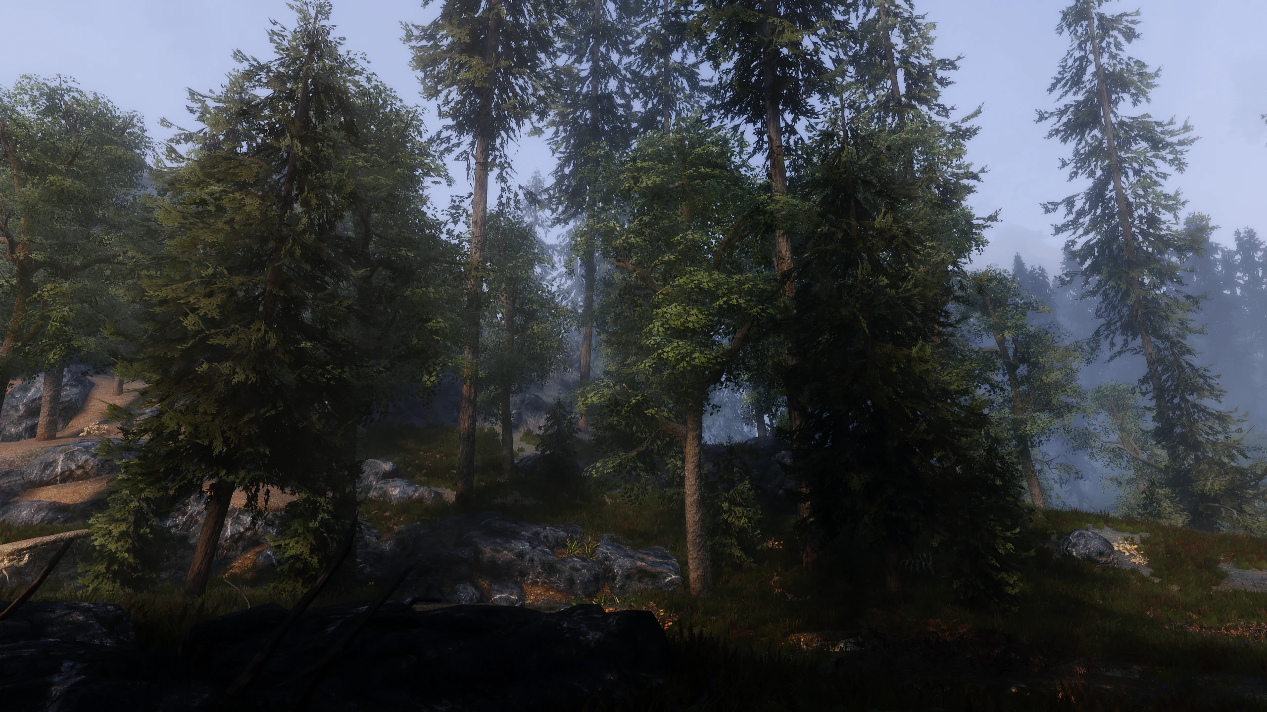 New Blubbo Trees 2 at Skyrim Special Edition Nexus - Mods and Community