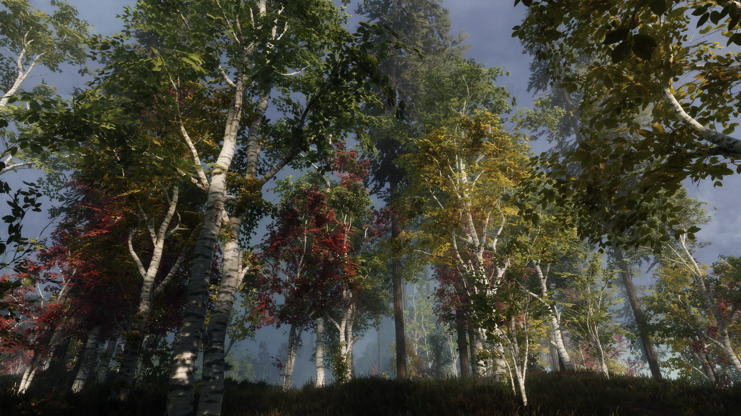 mixed colors 2 at Skyrim Special Edition Nexus - Mods and Community