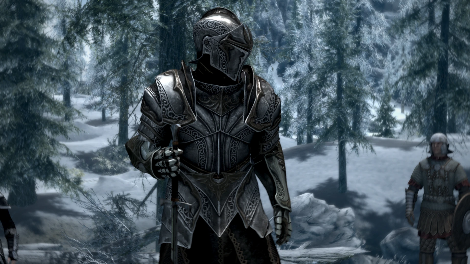 Chainmail Armour at Skyrim Special Edition Nexus - Mods and Community