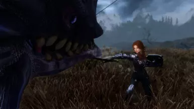 skyrim special edition моды nexus