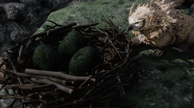 owlbear nest