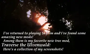 2023 Forests of Skyrim