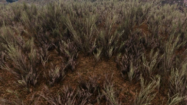 Skyrim 3D Trees - grass addon early WIP