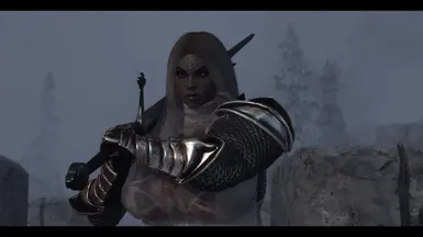 Protecting Winterhold