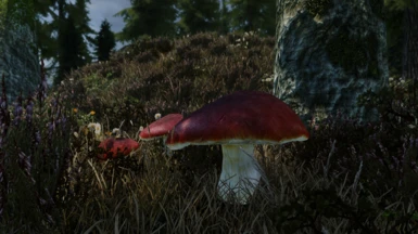 Luma AI Mushroom
