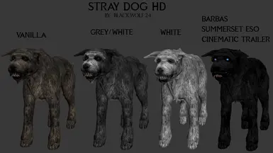 where can you find a stray dog in skyrim