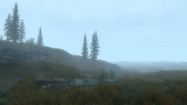 Tundra fog
