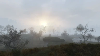 The Shire fog