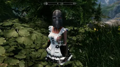 When NPC Outfits Get A Little Too Random At Skyrim Special Edition   35296160 1674011897 