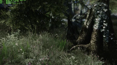 Natural View Tamriel ENB with Dolomite Weather and Plugin - Verdant Grass - Simply Bigger Trees