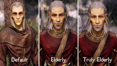 Denizens of the North - Elderly Elves pt 3