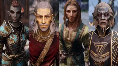 WIP - Elf NPCs Overhaul