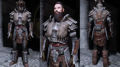 Stormcloak Officer Armor Replacer at Skyrim Special Edition Nexus ...