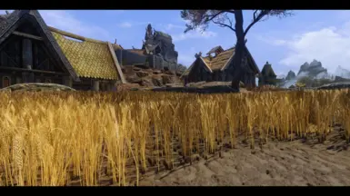 Wheat fields - WIP