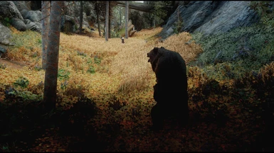 Bearly bear